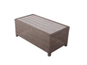 PALMA 43X23 COFFEE TABLE BRUSHED TOP
203343A-2100